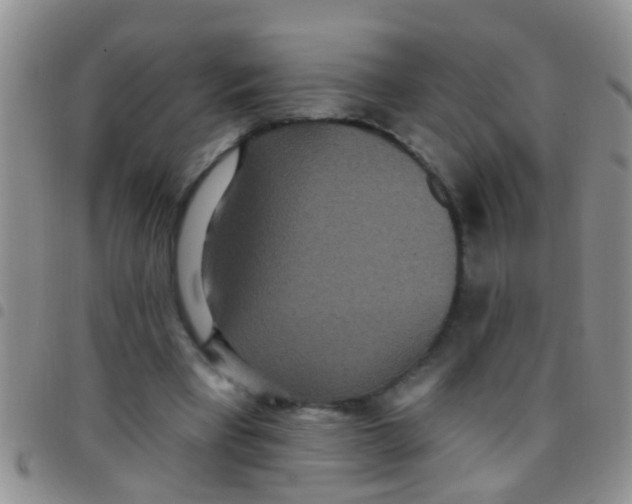 X0000097510393200803142046