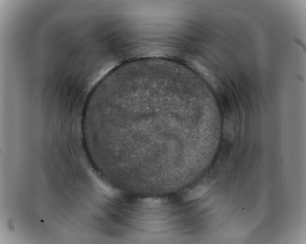 X0000097510394200803142046