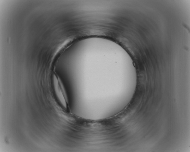 X0000097510395200803142046