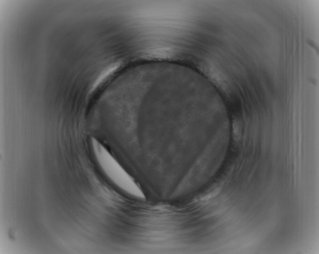 X0000097510396200803142046