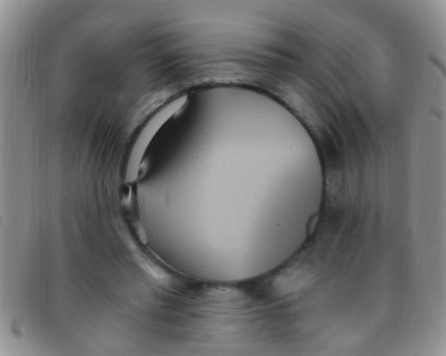 X0000097510397200803142046