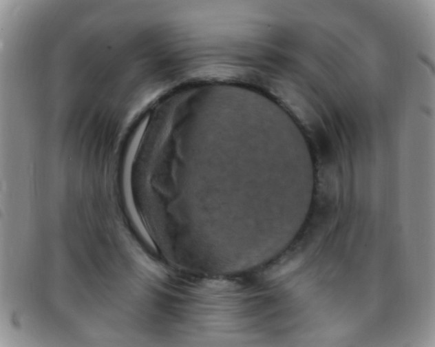 X0000097510399200803142046