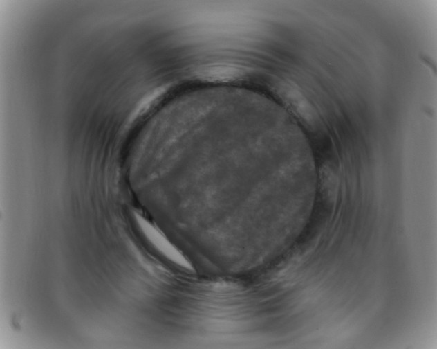 X0000097510400200803142046