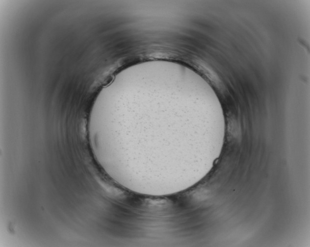 X0000097510401200803142046