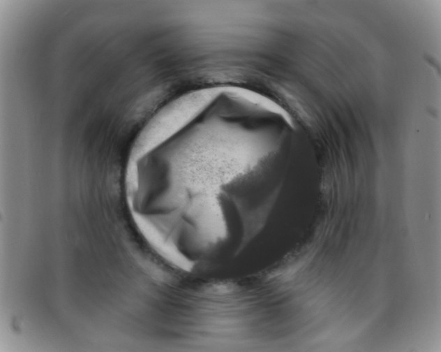 X0000097510402200803142046