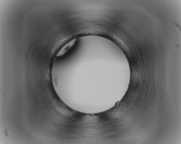X0000097510403200803142046