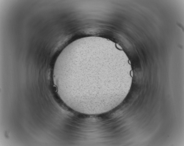 X0000097510404200803142046