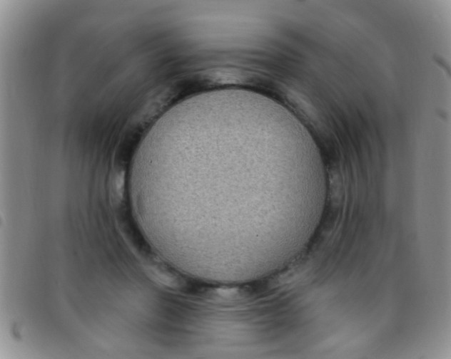 X0000097510406200803142046