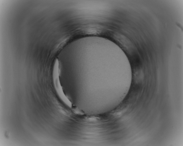 X0000097510407200803142046