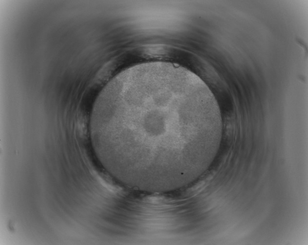 X0000097510408200803142045