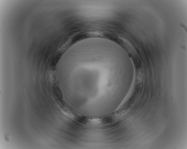 X0000097510409200803142045