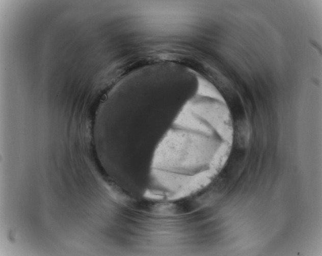 X0000097510410200803142045