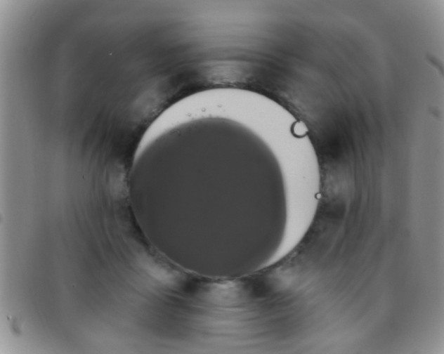 X0000097510411200803142045