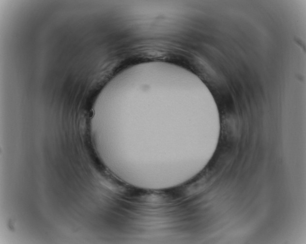 X0000097510412200803142045