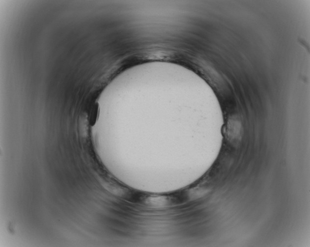 X0000097510413200803142045