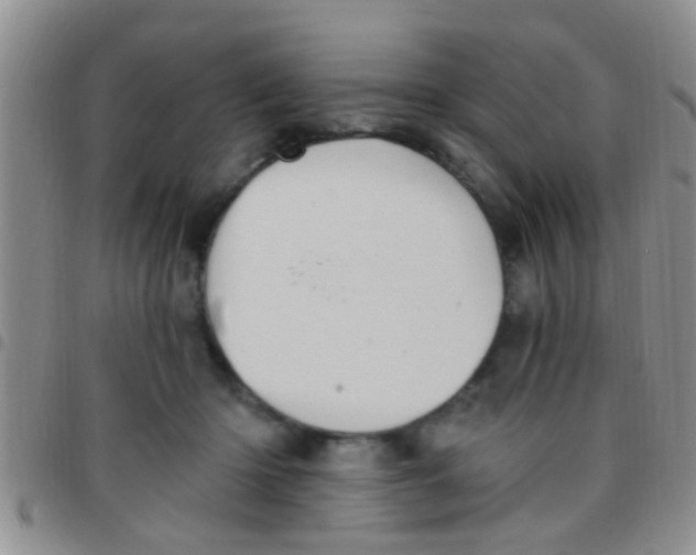 X0000097510414200803142045