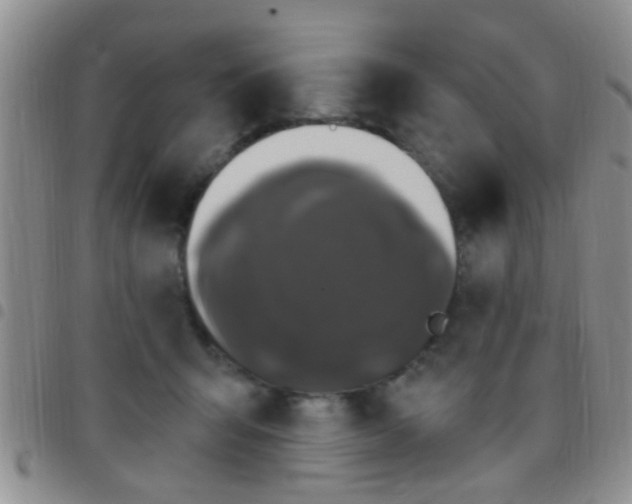 X0000097510415200803142045