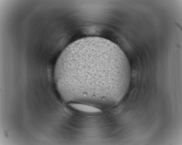 X0000097510416200803142045