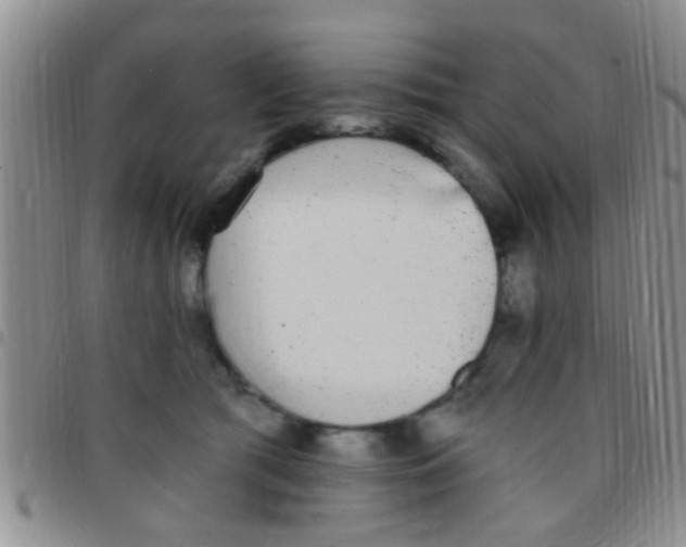 X0000097510417200803142045
