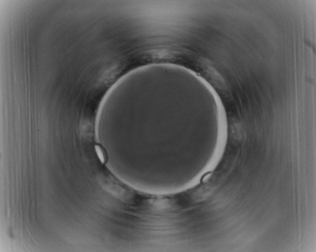 X0000097510419200803142045