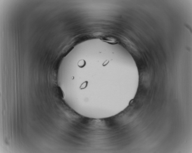 X0000097510421200803142045