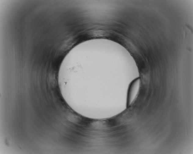 X0000097510422200803142045