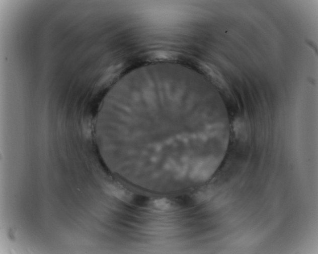 X0000097510423200803142045