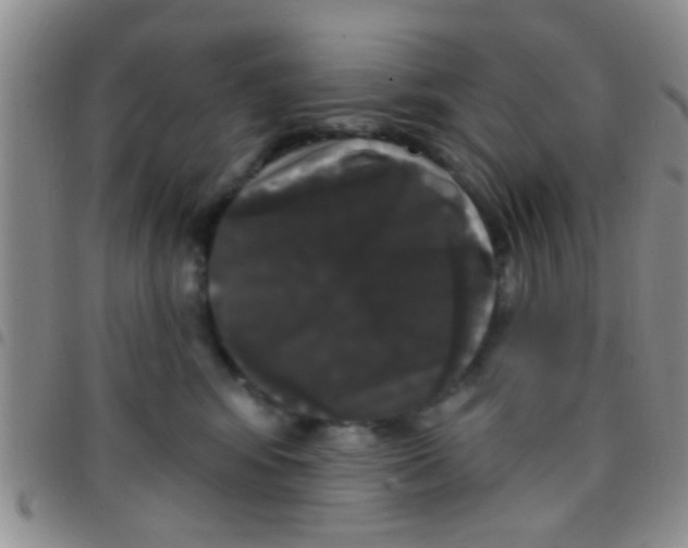 X0000097510424200803142045