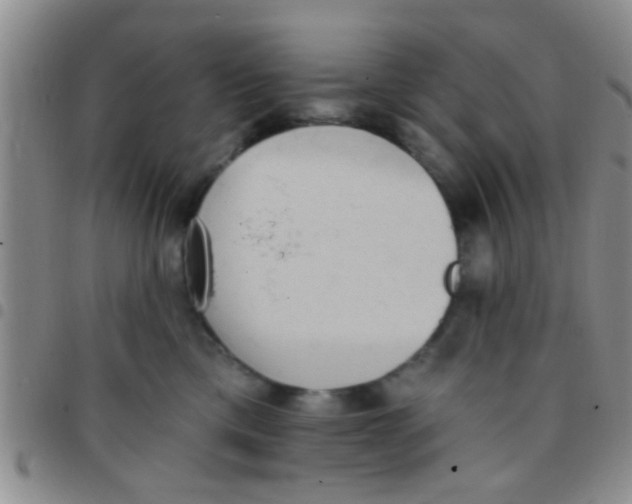 X0000097510425200803142045