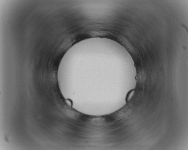 X0000097510426200803142045