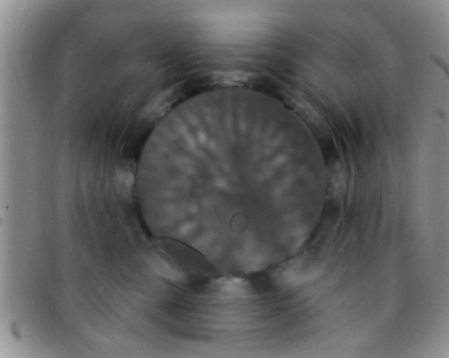 X0000097510427200803142045