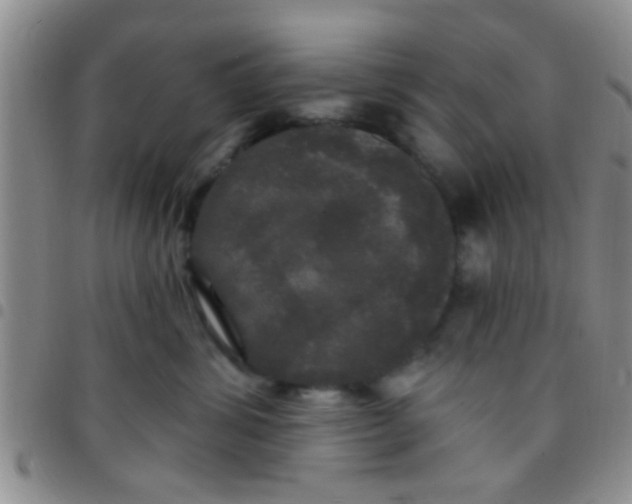 X0000097510428200803142045