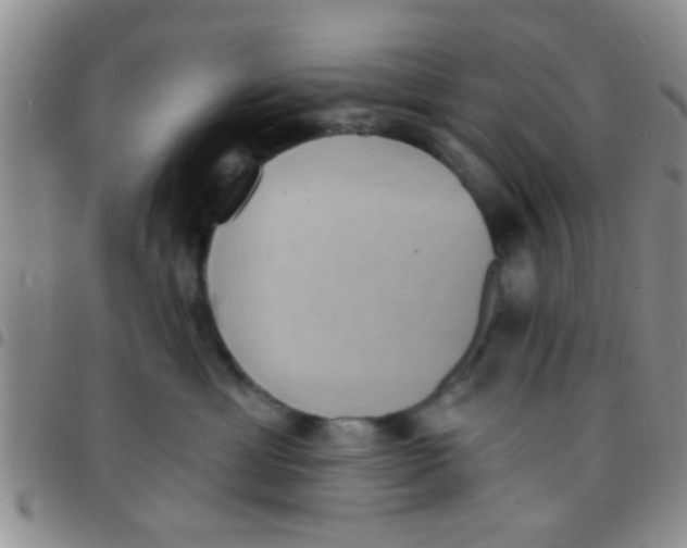 X0000097510429200803142045