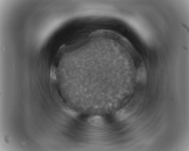 X0000097510431200803142045