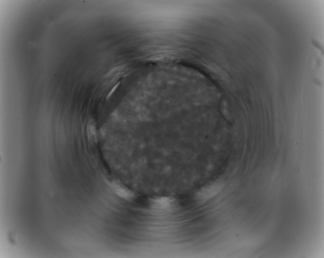 X0000097510432200803142045