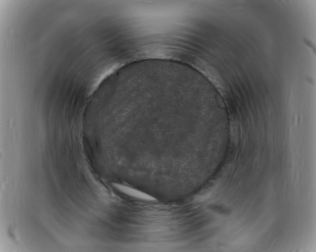 X0000097510434200803142045