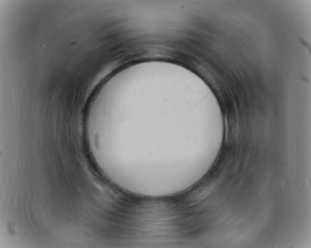 X0000097510435200803142045