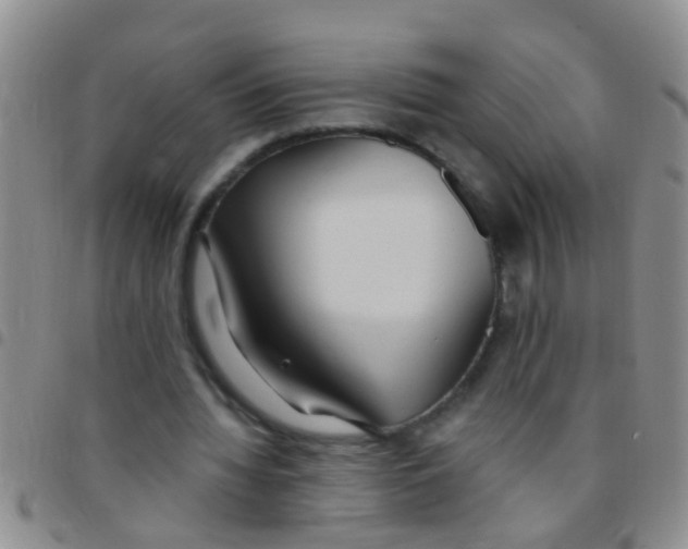 X0000097510436200803142045