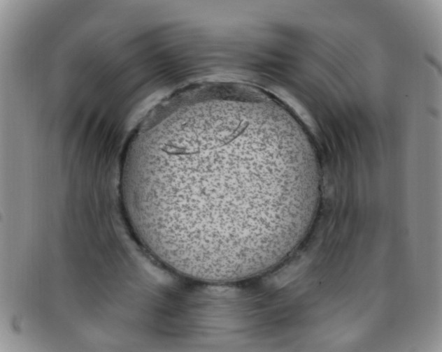 X0000097510437200803142045