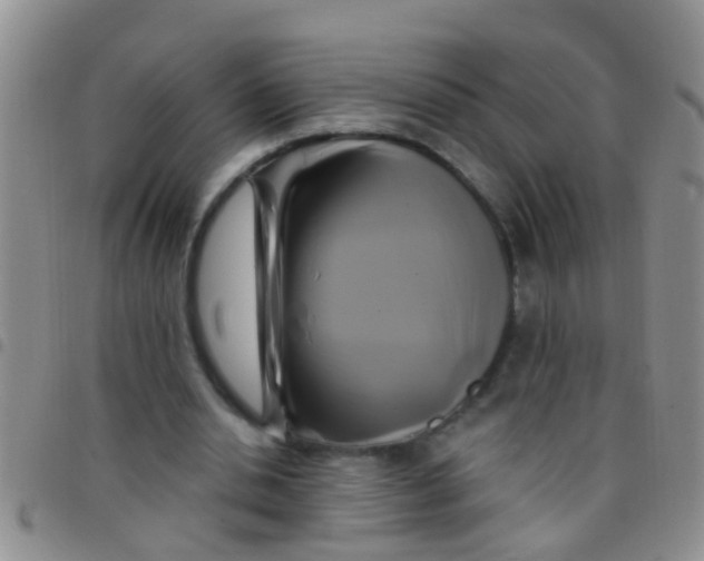 X0000097510438200803142045