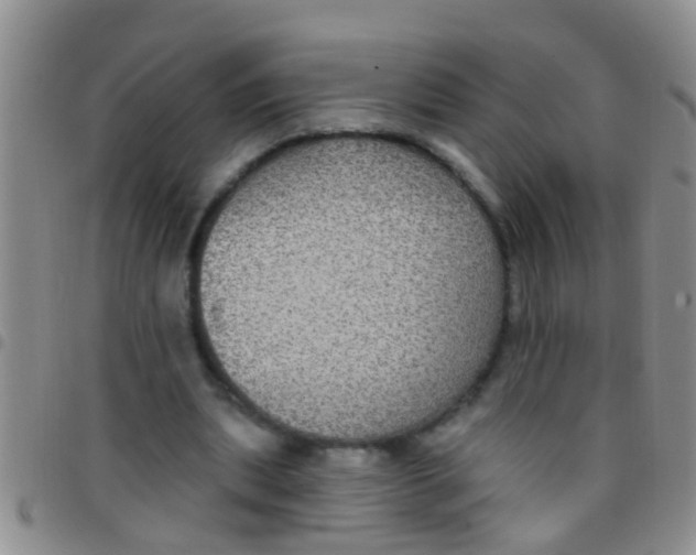 X0000097510439200803142045