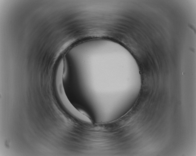 X0000097510440200803142045