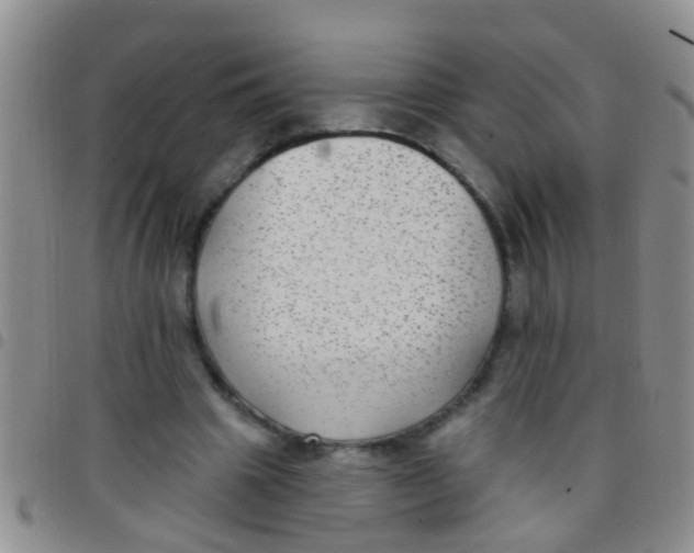 X0000097510441200803142045