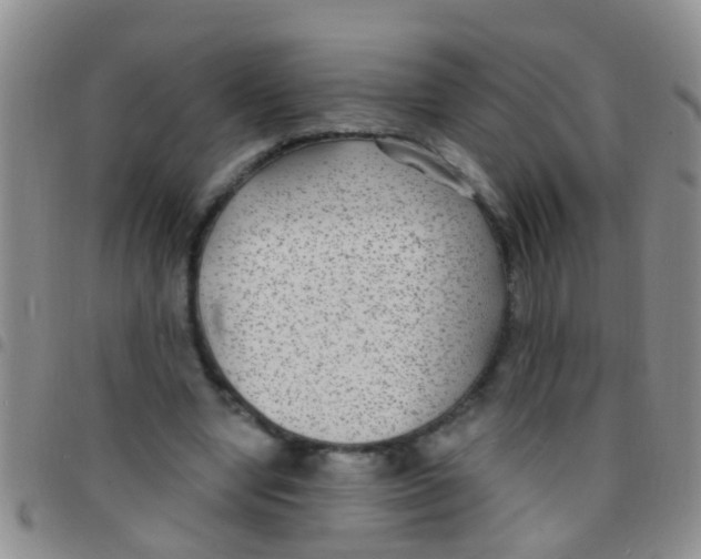 X0000097510442200803142045