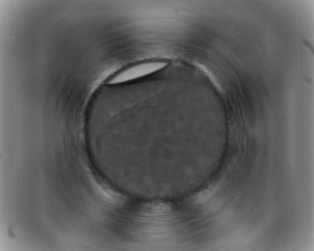 X0000097510443200803142045