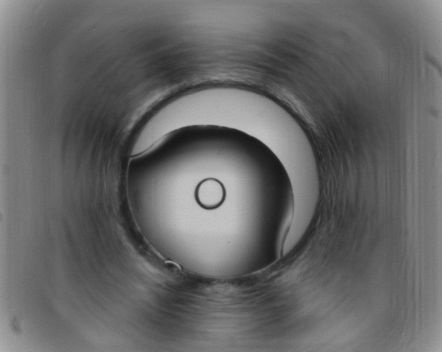 X0000097510444200803142045