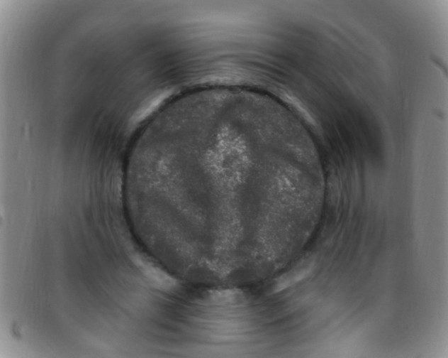 X0000097510446200803142045