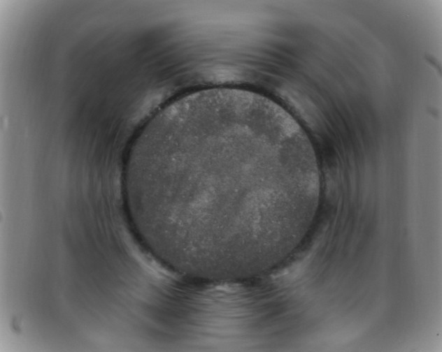 X0000097510447200803142045