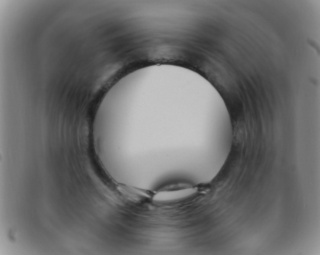 X0000097510448200803142045