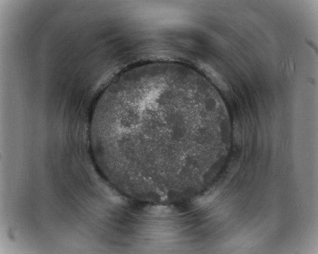 X0000097510449200803142045